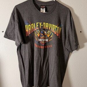 Harley-Davidson Gray Graphic T-Shirt
